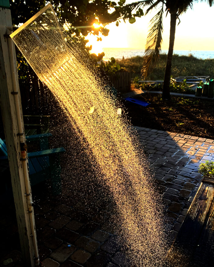 Clear Showerhead XL Clear Shower XL Showerhead